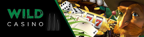 Logo nagłówka Wild Casino