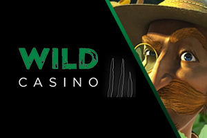 Wild Casino - websted som Bovada