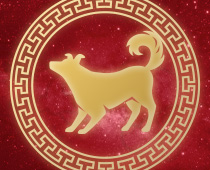 Horoskop chiński Pies przewodnik hazardu