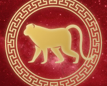 Horoskop chiński Przewodnik po grach hazardowych Małpa