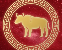 Horoskop chiński Przewodnik po grach hazardowych Ox