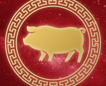 Horoskop chiński Przewodnik po grach hazardowych Świnia