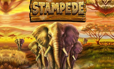 Logo Stampedy