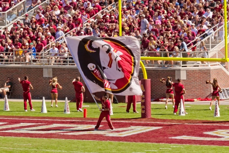 Cheerleader waving flag at Florida State football game